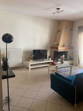 Central Nest Apartment
